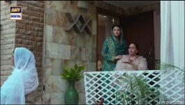 Tark e Wafa - Episode 14 - 21st July 2024